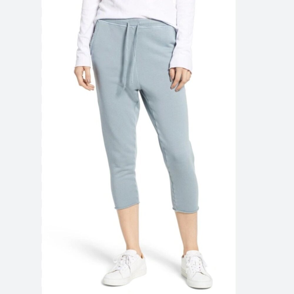 Frank & Eileen Tee Lab Drawstring Triple Fleece Sweatpants Raw Hem Size: M Blue